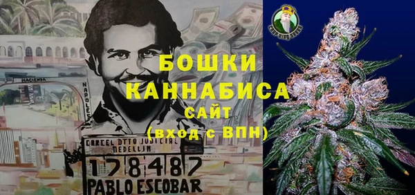 Альфа ПВП Аркадак