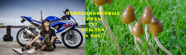 синтетический гашиш Балабаново