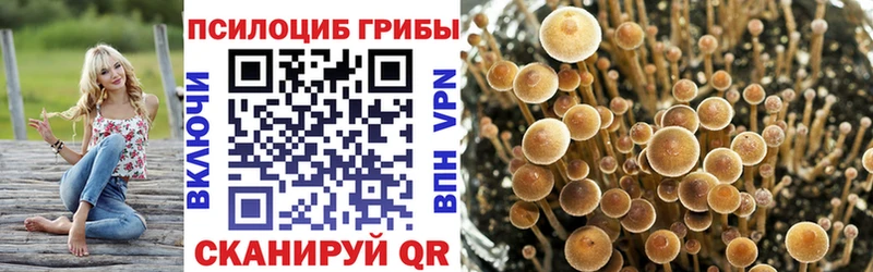 продажа наркотиков  Озёрск  Галлюциногенные грибы Psilocybine cubensis 